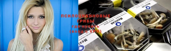 mdpv Пересвет