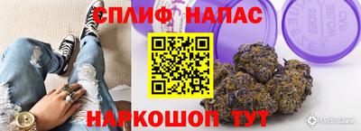 гидра Краснокаменск