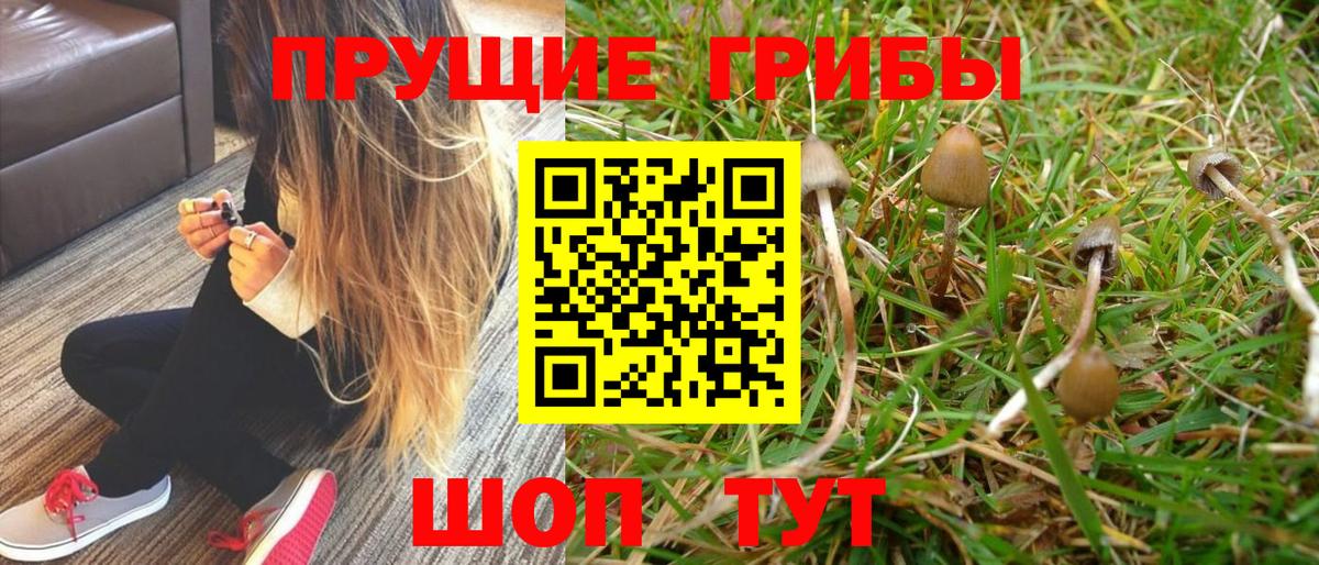 Галлюциногенные грибы Magic Shrooms  Псилоцибиновые грибы мицелий  Вход с VPN  Тайшет 